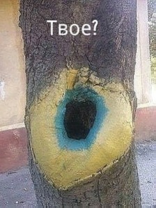 Create meme: tree hole, hole, 15 unusual trees