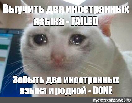 Поставь пожалуйста песню. Спасибо за внимание Плачущий кот. Вам чай с сахаром или с моими слезами Мем. Спасибо за внимание поставьте 5. Котики спасибо за внимание поставьте 5.