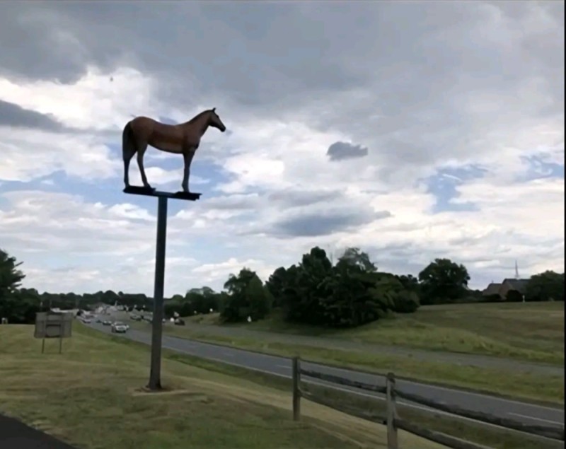 Create meme: monument, sculpture of a horse, horse monument