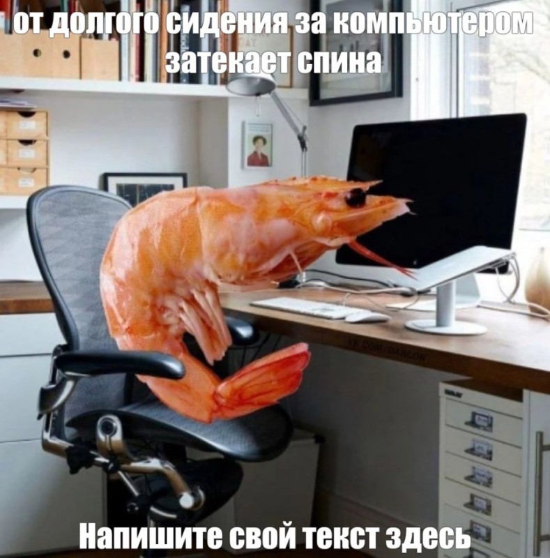 Create meme: shrimp meme, shrimp at the computer, the shrimp is sitting at the computer