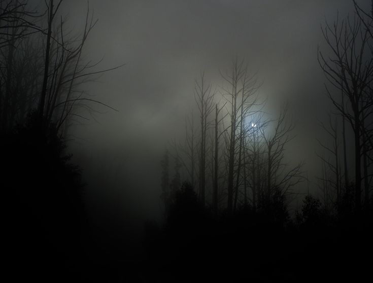 Create meme: gloomy landscape, dark foggy landscapes, dark sky