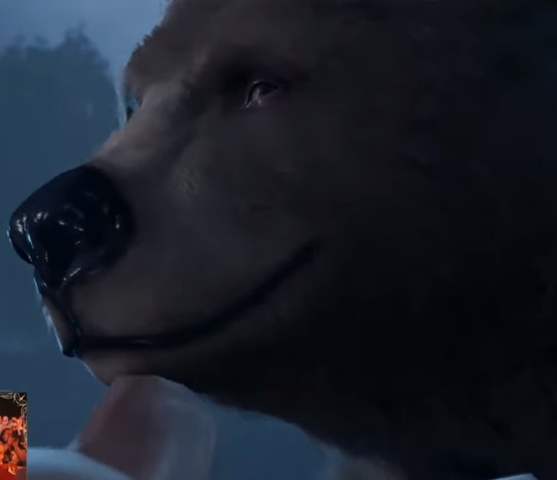 Create meme: bear bear, polar bear , bear 