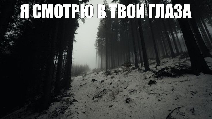 Create meme: Gloomy forests, the forest dark, Dark forest