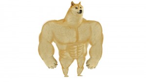 Create meme: doge Jock, Jock the dog and you learn the pattern, inflated doge