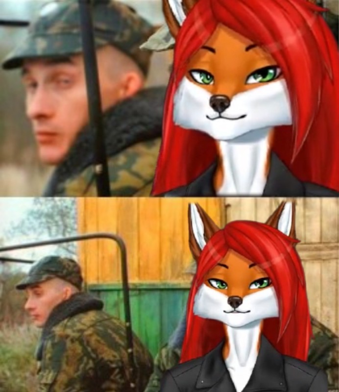 Create meme: DMB see a gopher, Fox General Furry, Fox