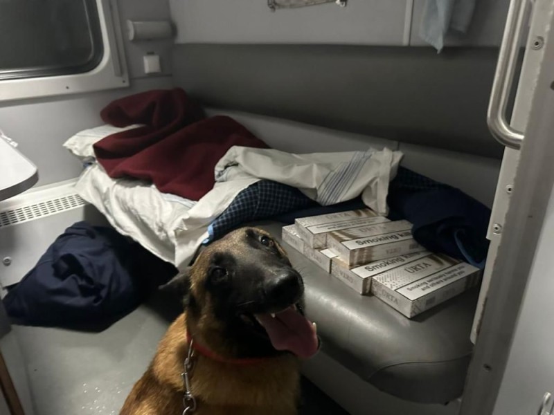 Create meme: the dog on the train, border guards on the train, dog 