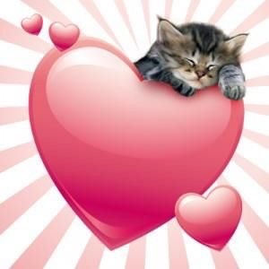 Create meme: cats with hearts, A kitten with a heart, a cat with a heart