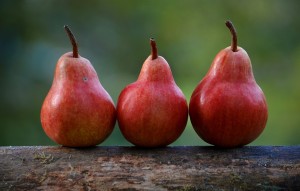 Создать мем: pear fruit, груша фруктовый, плоды груши