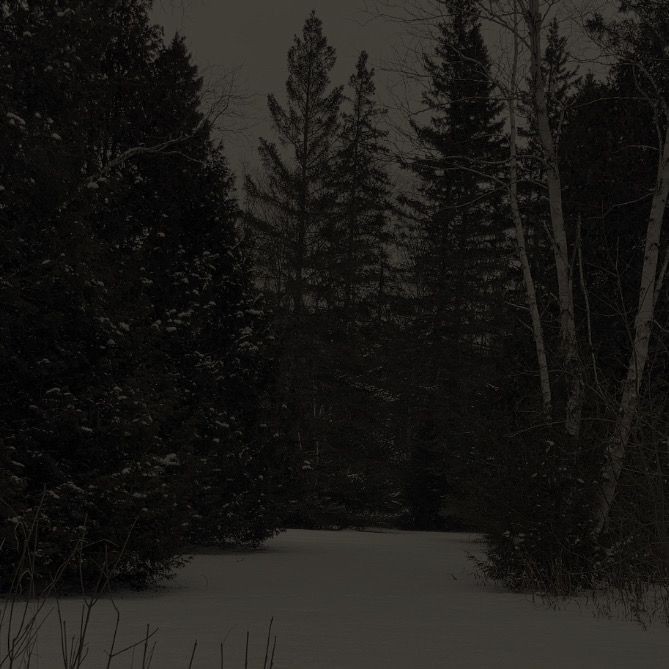 Create meme: dark winter forest, Winter forest, winter is dark