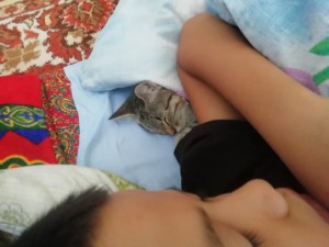 Создать мем: девушка спит с котом, кот, котики