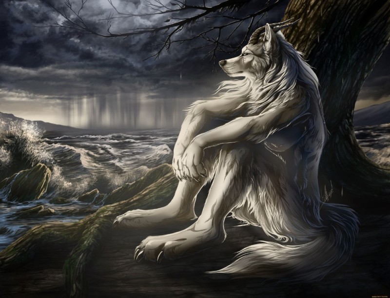 Create meme: werewolf art, fantasy werewolves, mythical creatures wolves