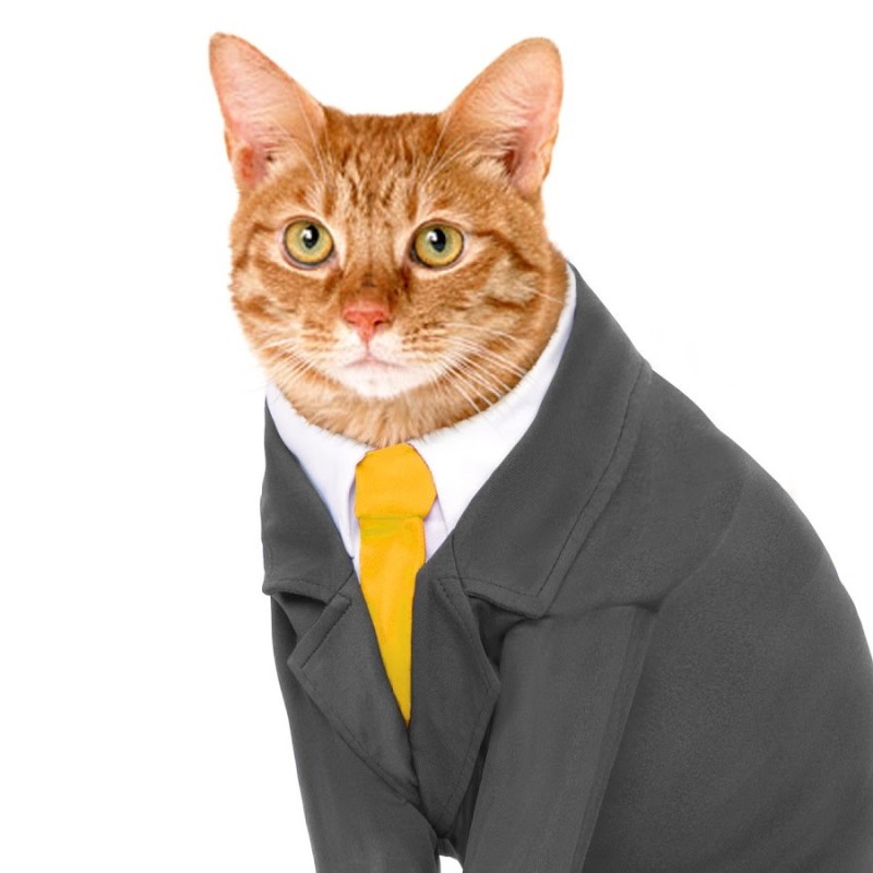 Создать мем: кот в деловом костюме, кот в костюме, пугод кот