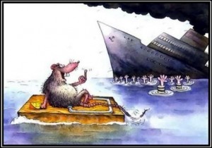 rats sinking ship