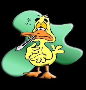 Create meme: duck