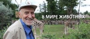 Create meme: Drozdov in the animal world, Nikolai Drozdov in the animal world, Nikolai Drozdov
