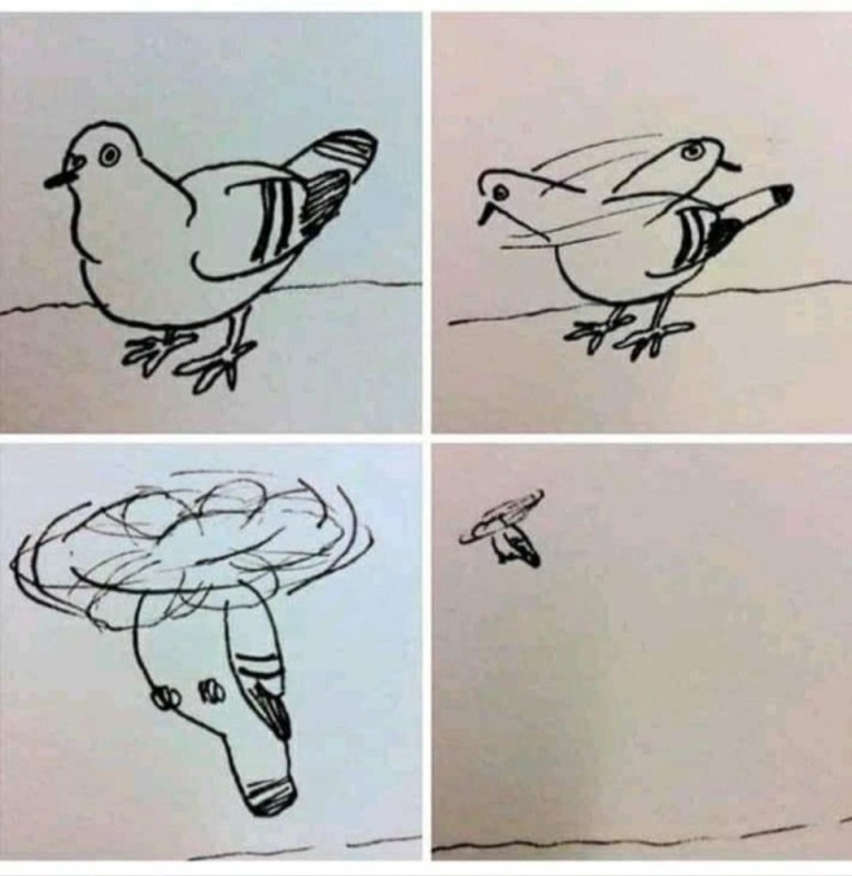 Create meme: drawing a sparrow in pencil, pigeon drawing with felt-tip pens, The drawing of the bird is simple