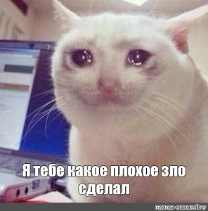 Создать мем: cry cat meme, грустный кот мем, я тебе какое плохое зло