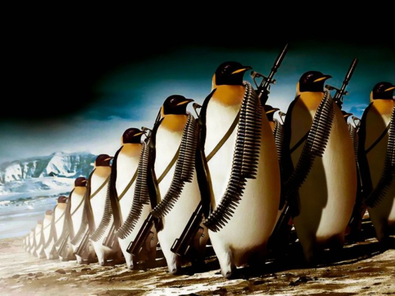 Create meme: fighting penguins, penguin army, big penguins