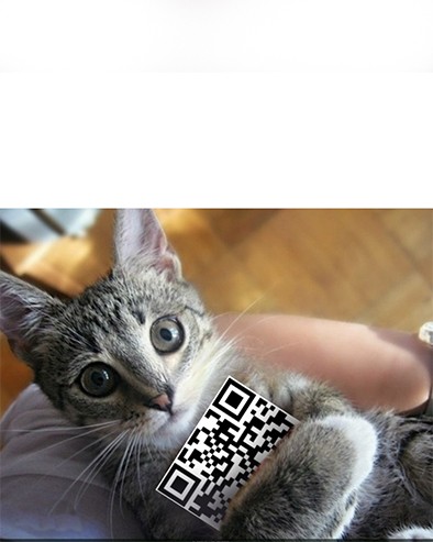 Создать мем: кошка довела, qr код, кошка