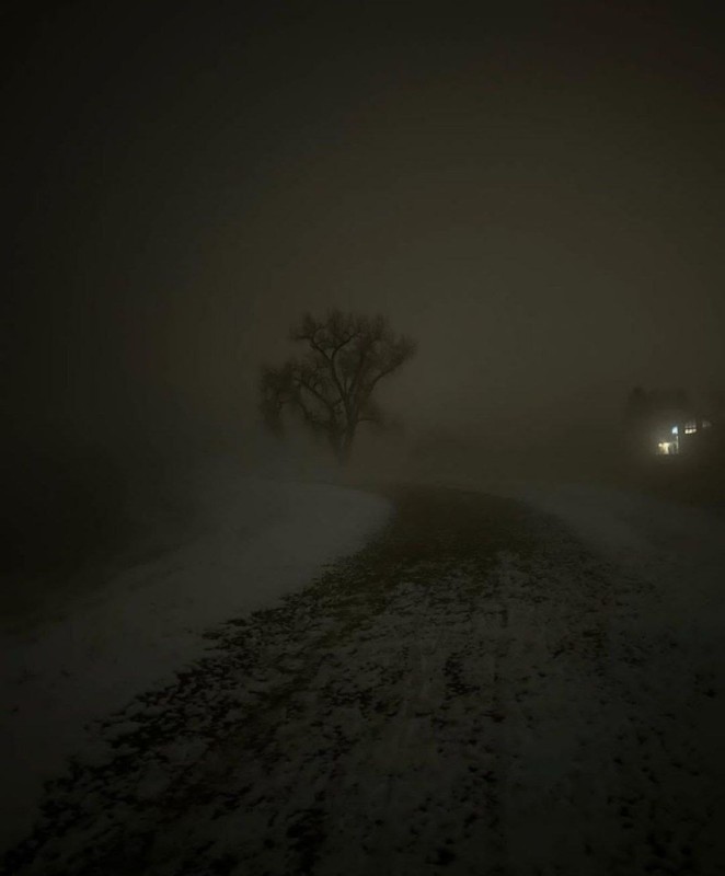 Create meme: thick fog , winter night, nature 