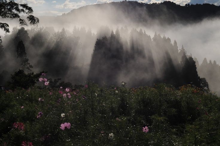 Create meme: Mount fog, forest in the fog, mountain 