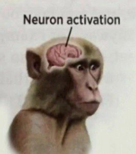 Создать мем: neuron activated мем, neutron activation мем, мозг обезьяны вампира