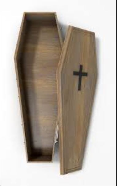 Create meme: 3d coffin, wooden coffin, closed casket