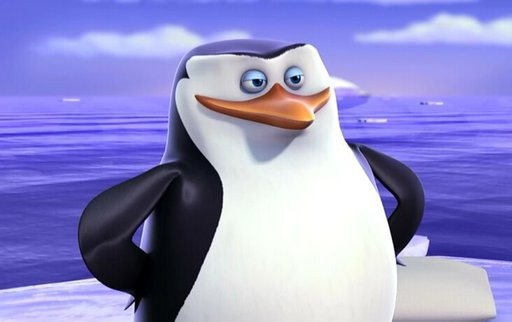 Create meme: the penguins of Madagascar Rico, the penguins of Madagascar , Rico the penguins of Madagascar