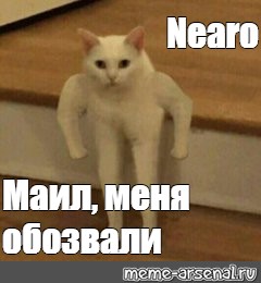 Создать мем: null