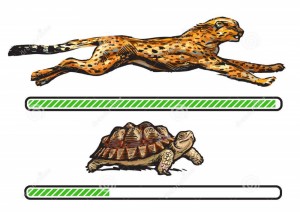 Создать мем: slow cheetah, гепард вектор, быстрый медленный