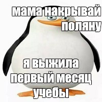 Здравствуй люся я пришел накрывай по шире стол