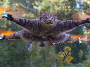 Create meme: flying cat, cat drone, cat quadcopter
