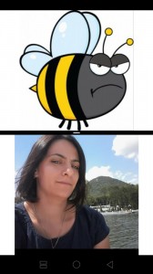 Create meme: bumblebee, bee