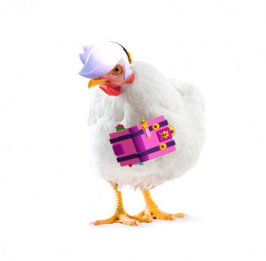 Create meme: white chicken, broiler Cobb 500