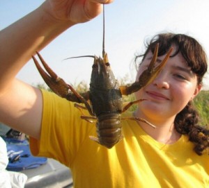 Create meme: crayfish, cancer claws, Nataha