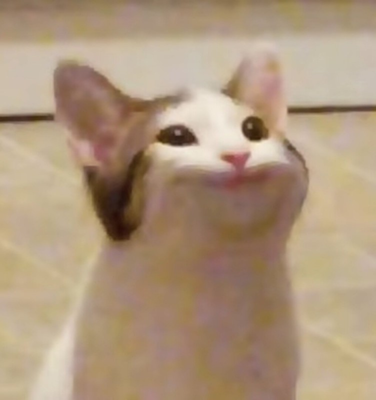 Create meme: meme cat with open mouth, The cat opens its mouth wide meme, the cat opened his mouth meme