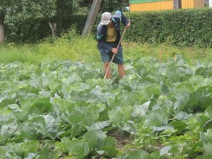 Create meme: work in the garden, farmer, the garden