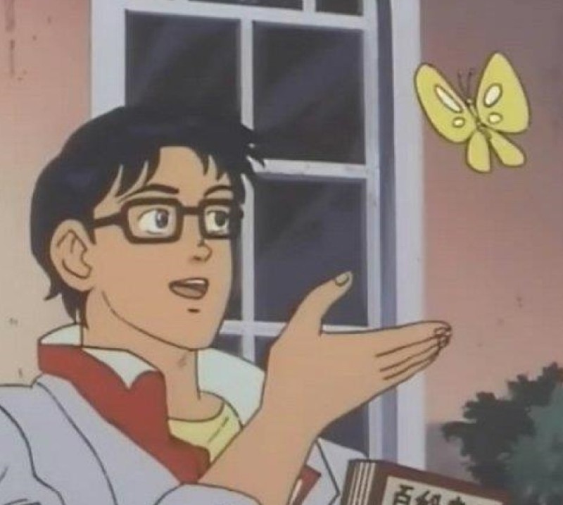 Create meme: The meme is an original butterfly, the guy with the butterfly meme, is this a pigeon