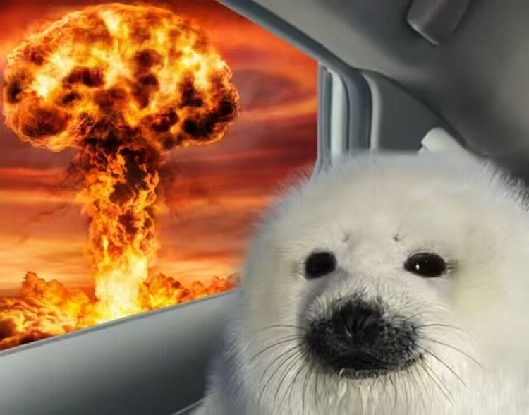 Создать мем: взрыв царь бомбы, мир в опасности, животные милые