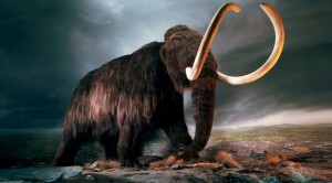 Create meme: mammoth