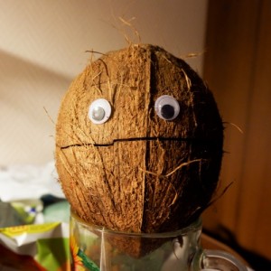 Create meme: Coconut Igor