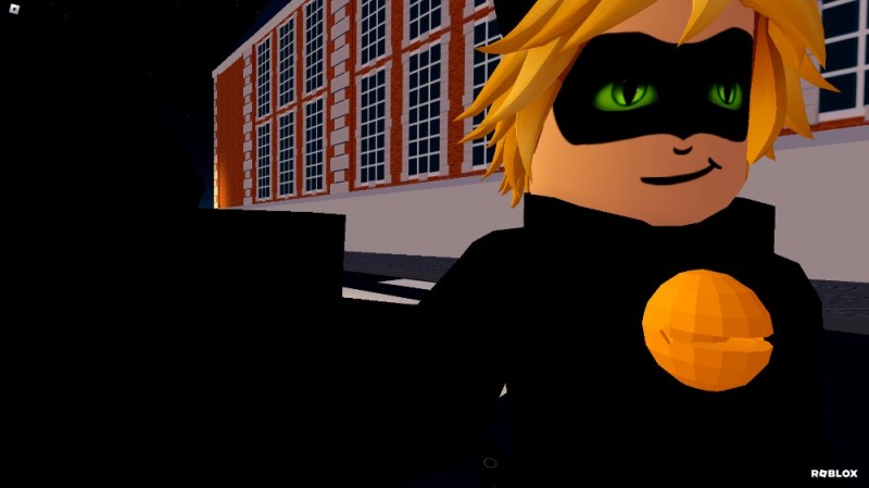 Create meme: super cat, cat Noir roblox, Roblox lady bug