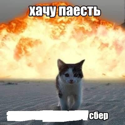 Создать мем: кот, эпичный кот, кот взрывается мем