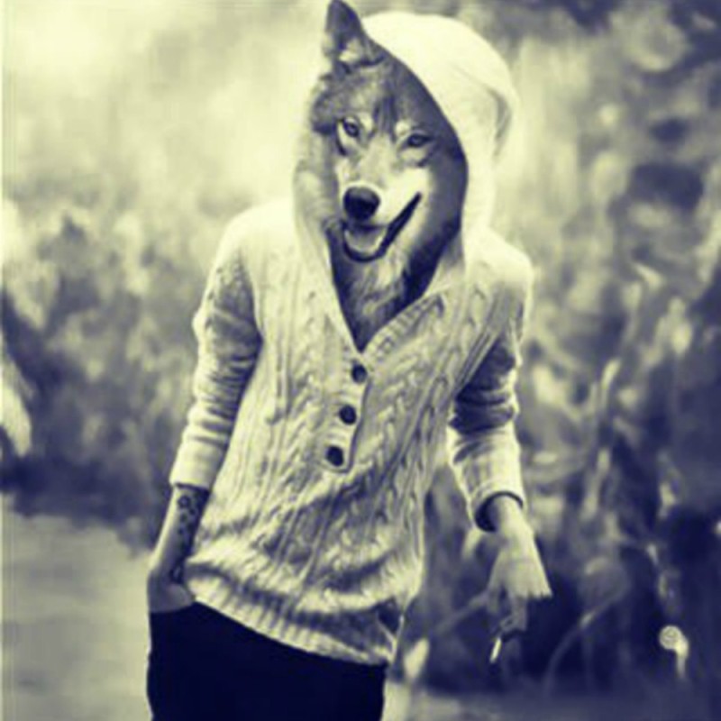 Create meme: the man with the head of a wolf, wolves are cool, wolf avatar 