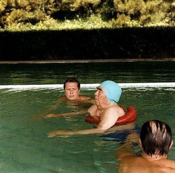 Create meme: to swim in the pool, Brezhnev in the pool, leonid Brezhnev swimming pool
