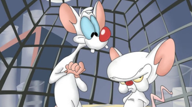 Create meme: cartoon mice pinky and brain, Pinkie and Brain animated series 1995 1998, brain kicks