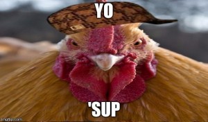 Create meme: the head of the cock, chicken meme, rooster