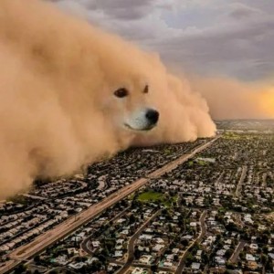 Создать мем: dogecoin илона маска, ямал, катаклизм