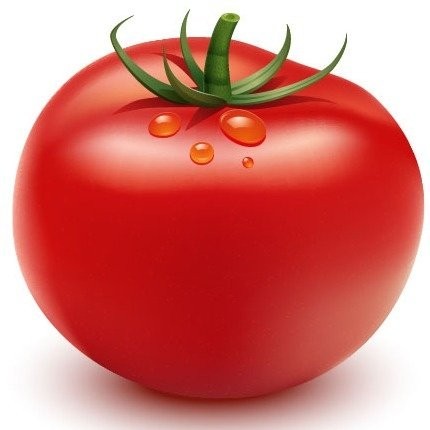 Create meme: tomato on a white background, tomato for kids, tomato cartoon
