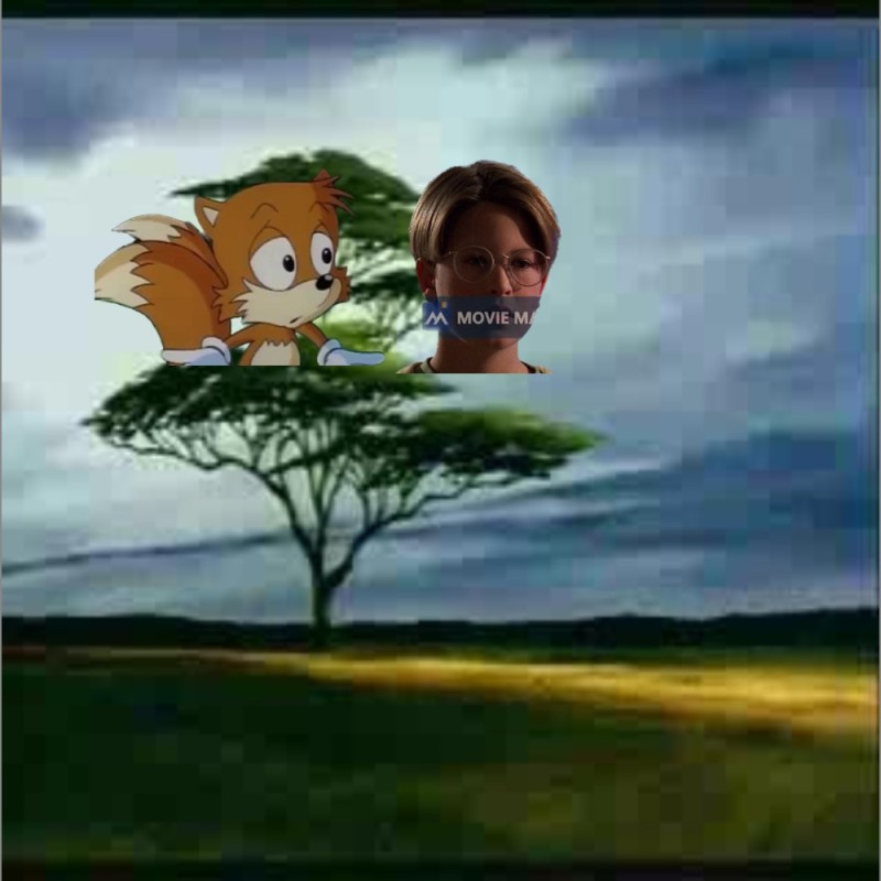 Create meme: cartoons , tree photography, umbrella acacia in Africa